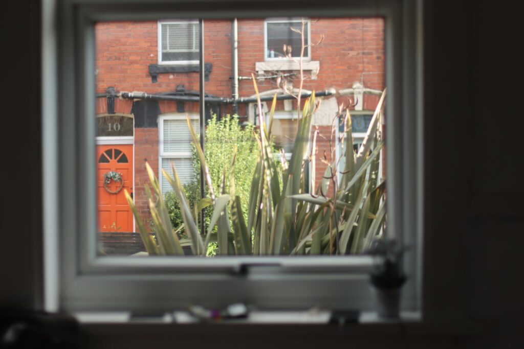a palm bush in front of a redbrick terraced house as seen through a window