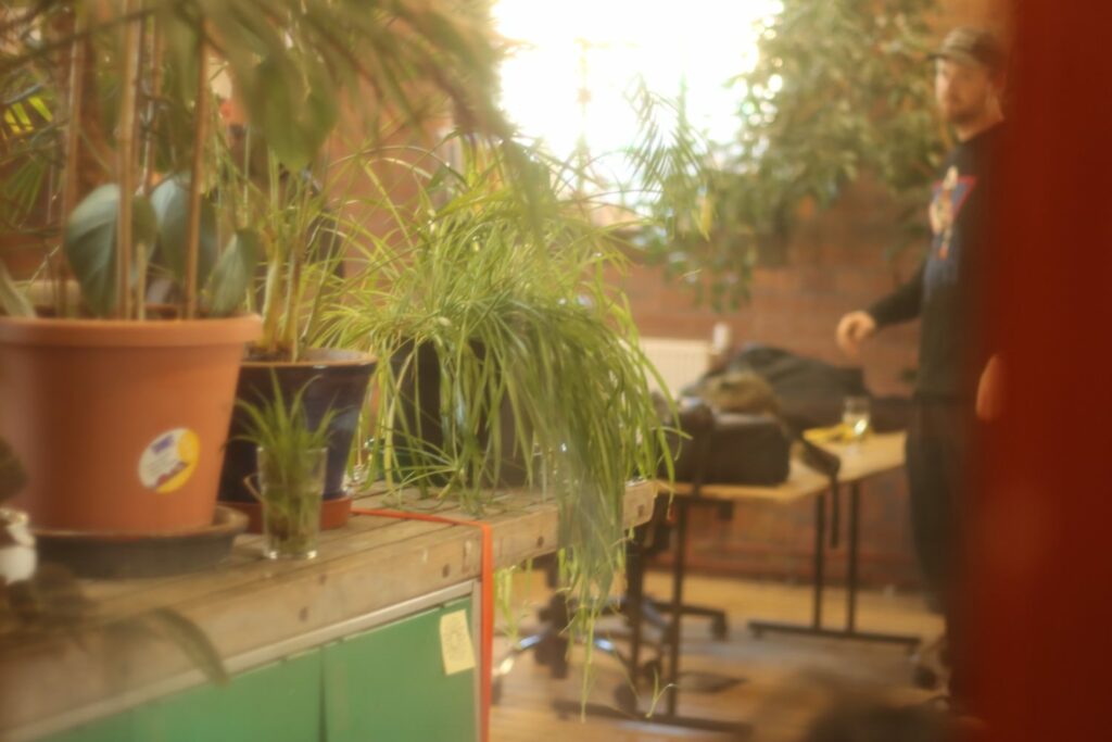a hazy view of plants in an indoor space