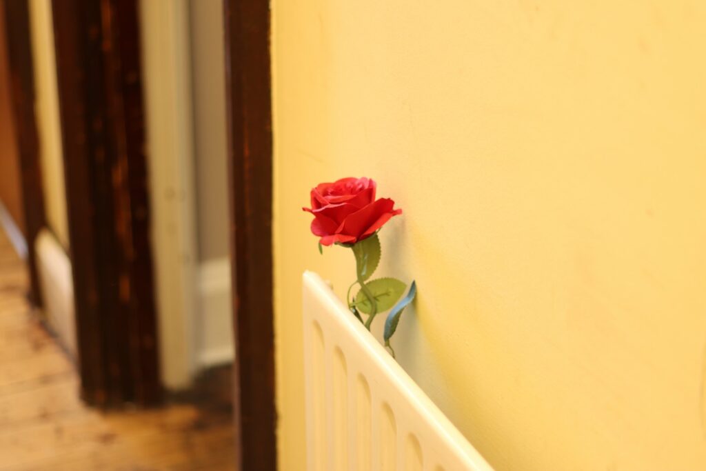a red rose propped up behind a radiator